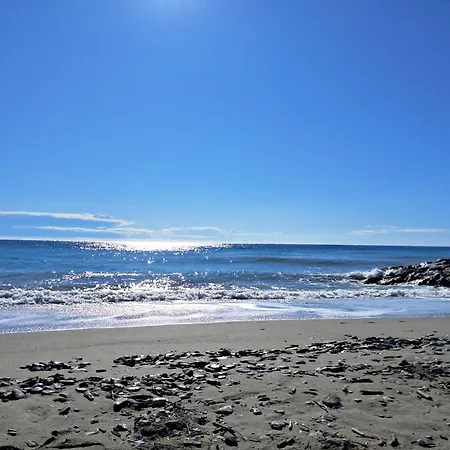 Mare